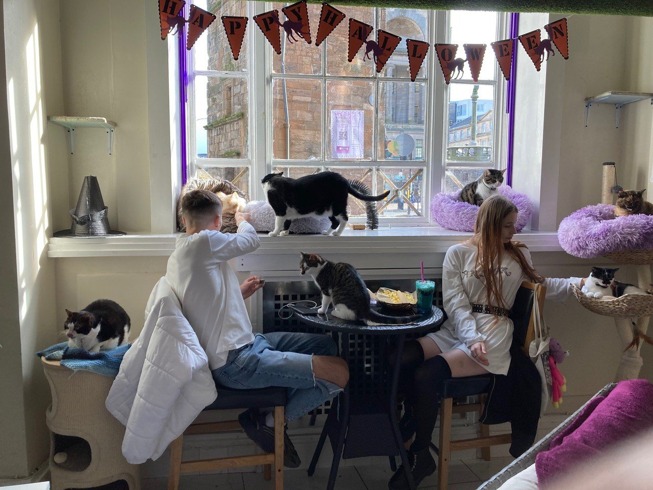 Silver City resident Vivian Savitt has been spending time in the Purrple Cat Cafe, on Trongate Road in Glasgow, Scotland and sent this image for our photo of the week.