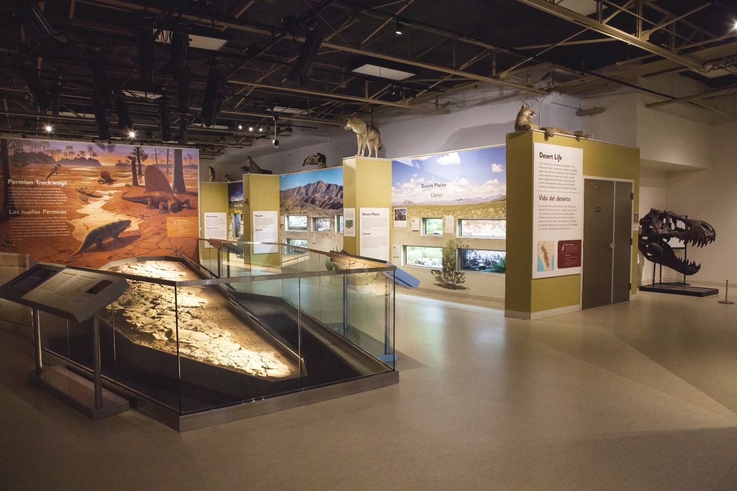 Das Natur- und Wissenschaftsmuseum Las Cruces bietet kostenlose Programme