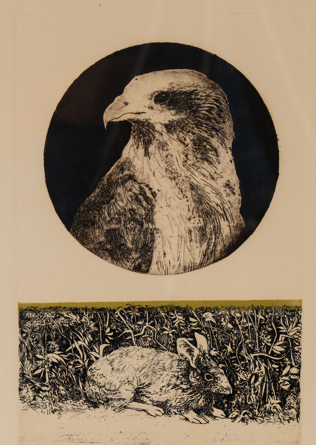 "The Hare and the Hawk," Jack Coughlin, Etching
1970s