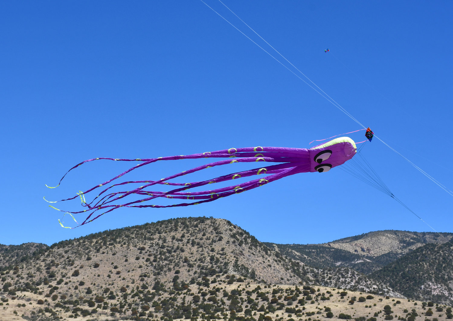 The kites seem to get bigger, longer and better every year.