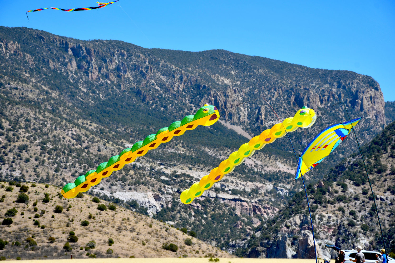 Colorful kites of all shapes and sizes show up for this annual Kite Flying Picnic.