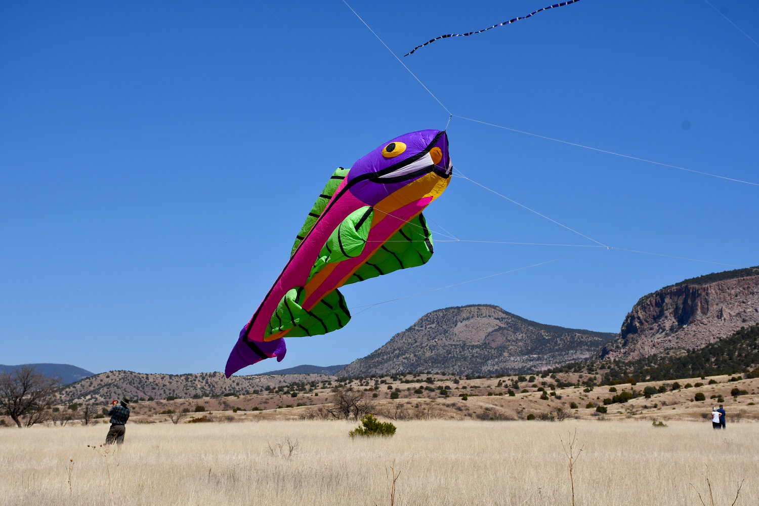 Flying fish? This colorful fish kite was a big hit at last year’s kitefest.
