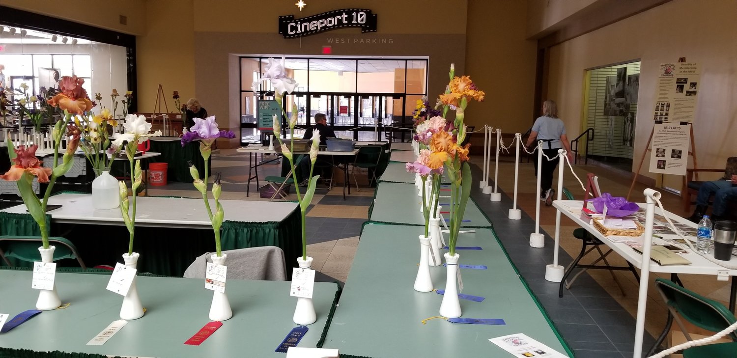 Iris show flowers on display after the judges walk through in 2019. The 2023 Mesilla Valley Iris Society show is Saturday, April 22.