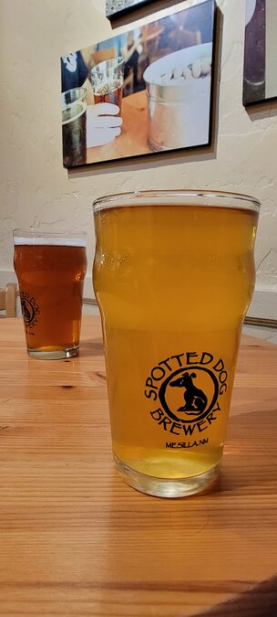 Left to right, Yorkie Pale Ale and Bier de Chien at Spotted Dog Brewery in Mesilla.
