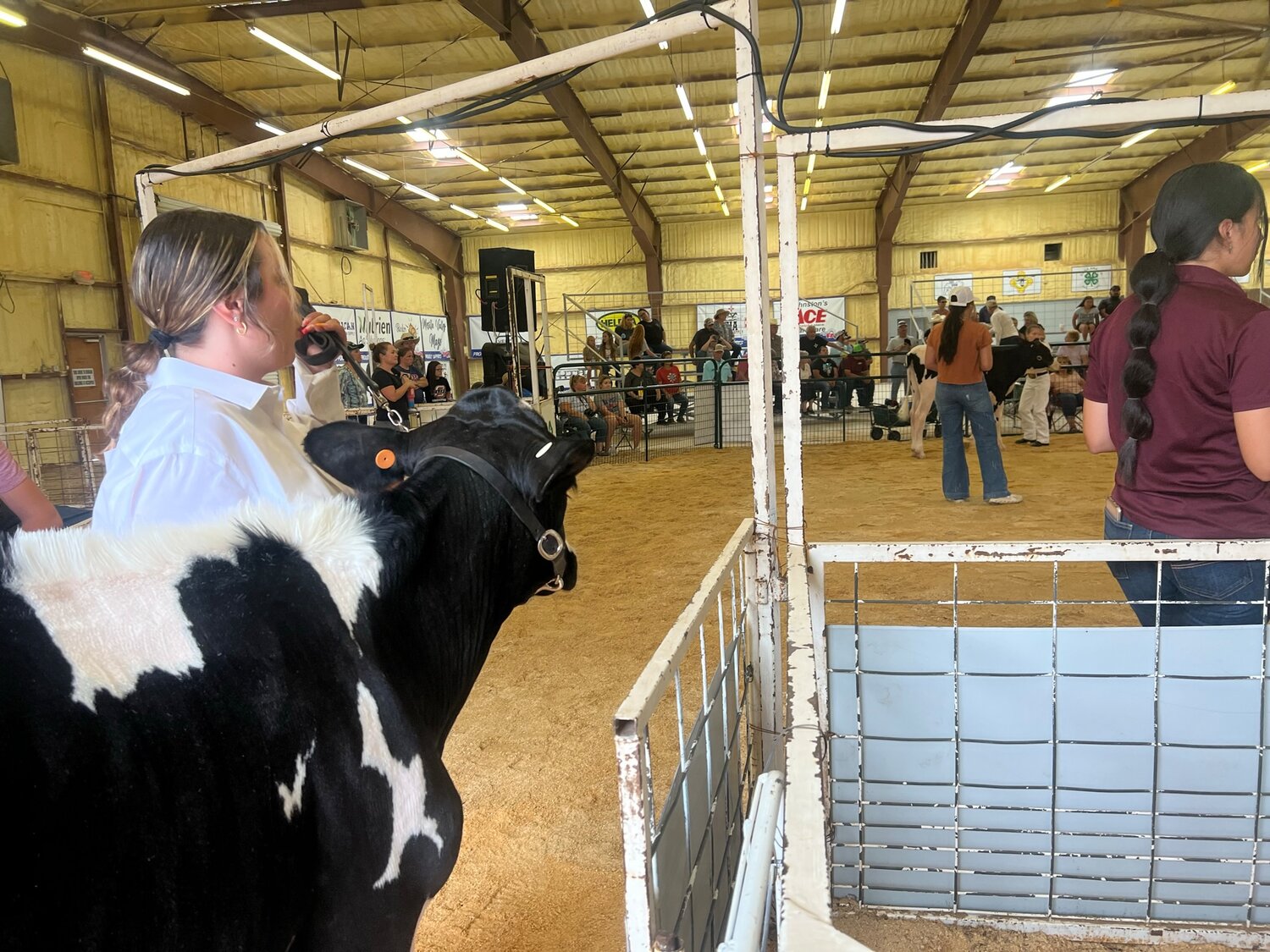 Livestock show at the Southern New Mexico State Fair, Sept. 26