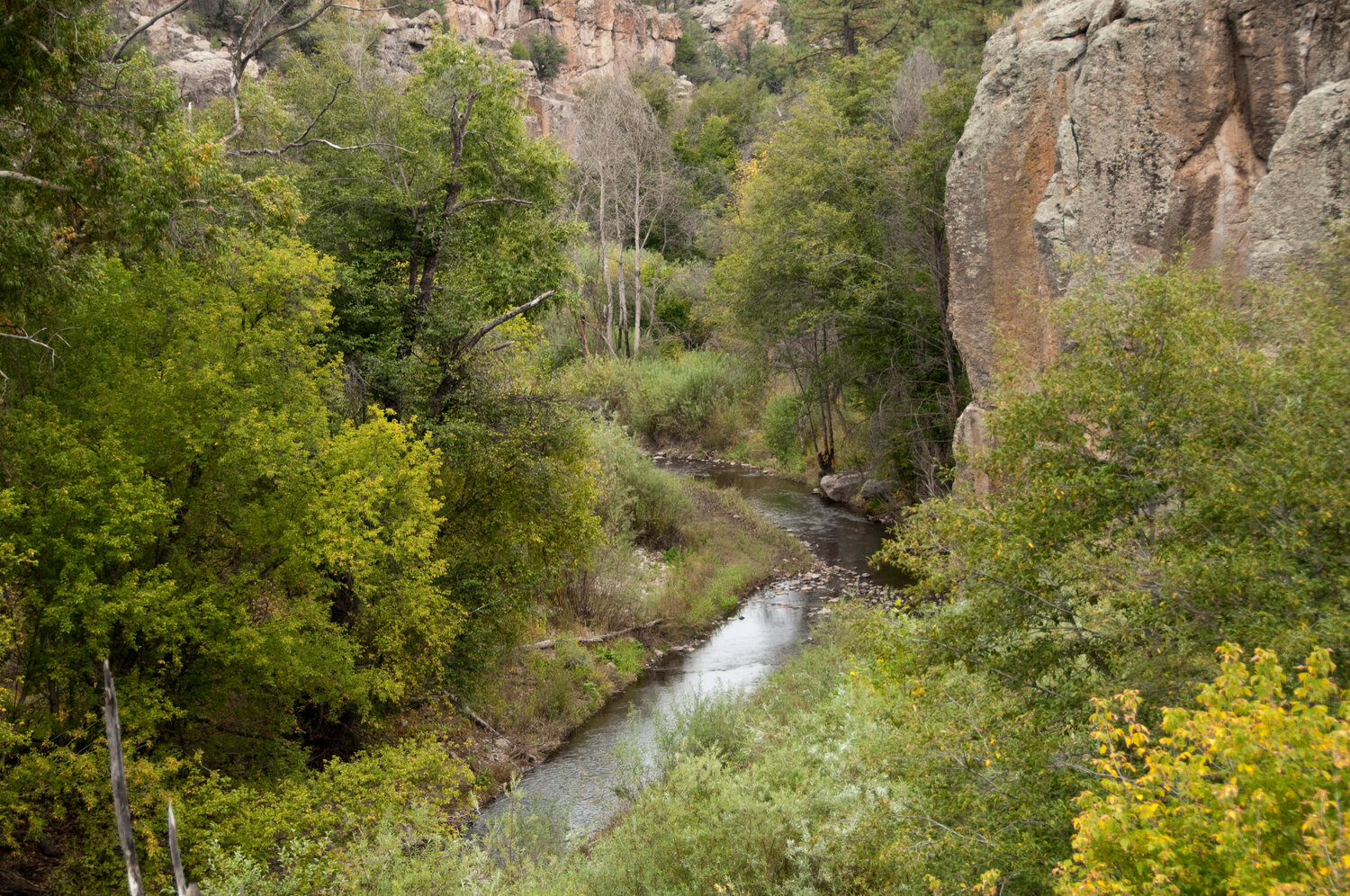 West Fork of the Gila River, Gila Wilderness Area.