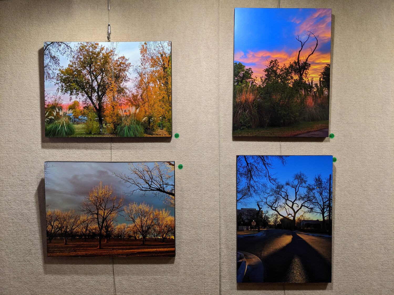 Photos by Rochelle Williams, clockwise from top left: “My Tularosa,” “Snagging Beauty, Tularosa,” “Sunrise, Albuquerque” and “Gold in the Trees.”