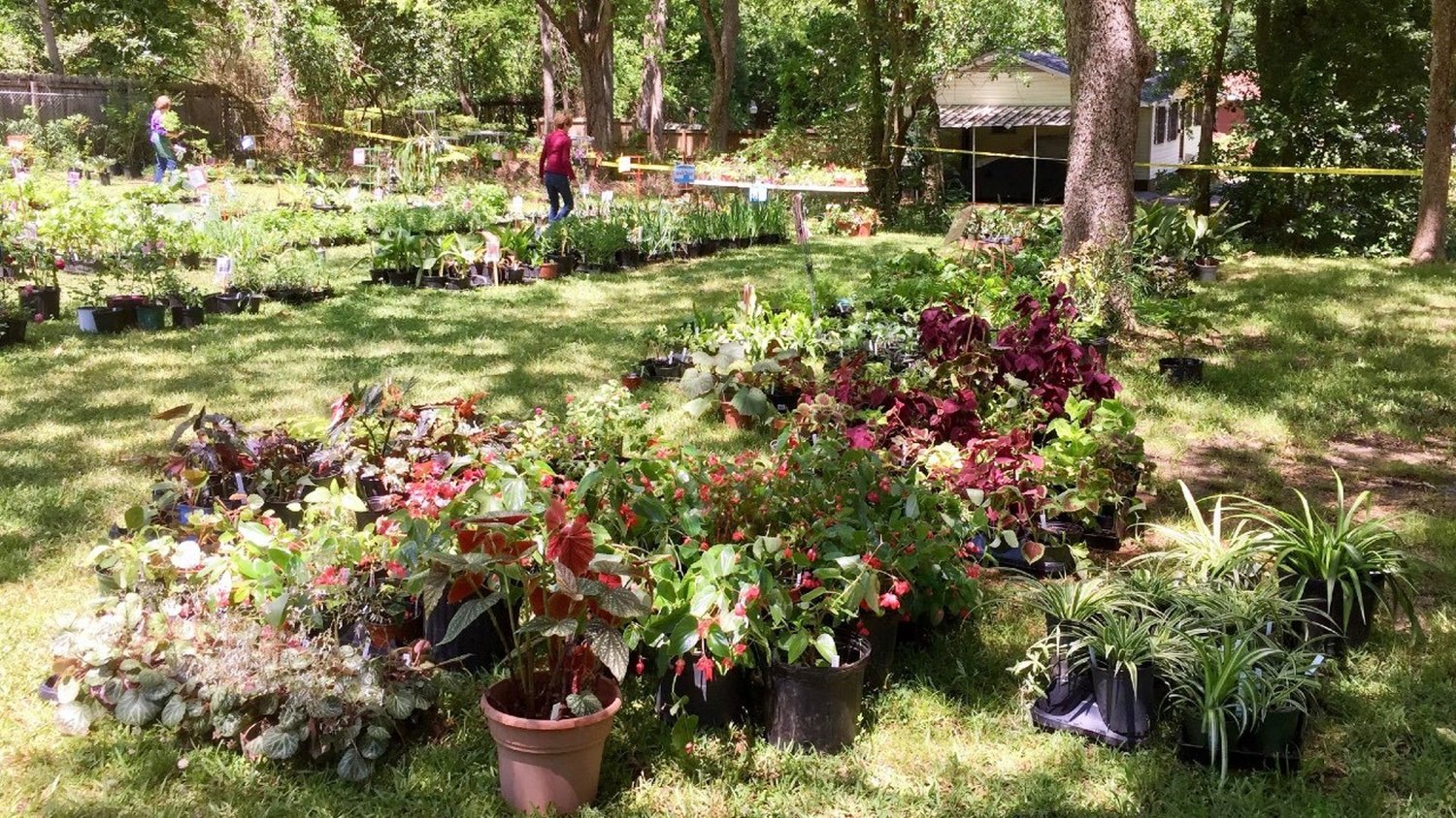 Master Gardeners plant sale returns to Mynelle April 30