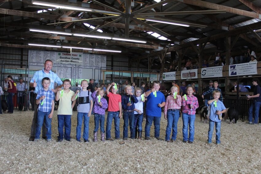 Cloverbud Swine Show Participants