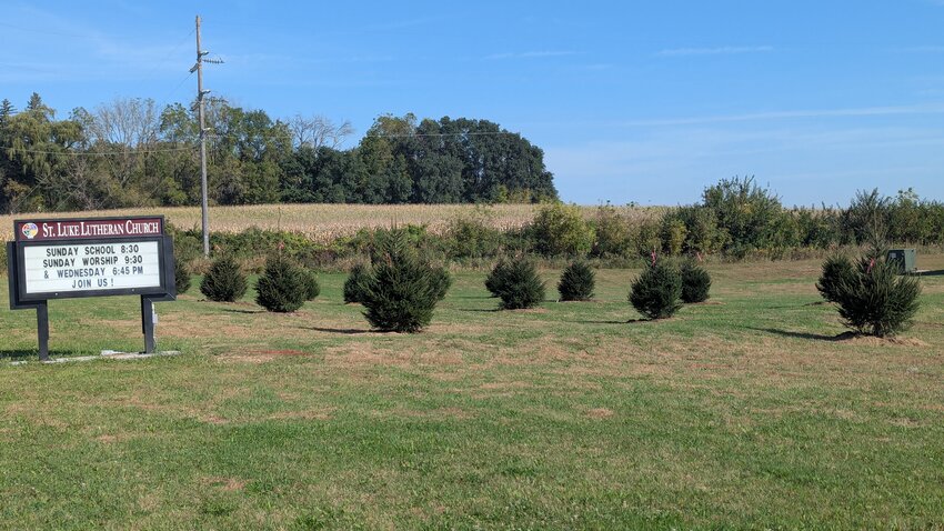 17 Trees make up Memorial Grove landscape project at St. Luke's Church.