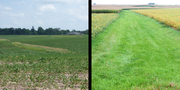 On the left: a water and sediment control basin. On the right: a grassed waterway. Each practice is designed depending on the survey and hydrology of the site.