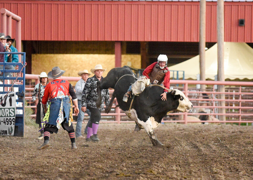 72nd Archuleta County Fair The Pagosa Springs Sun