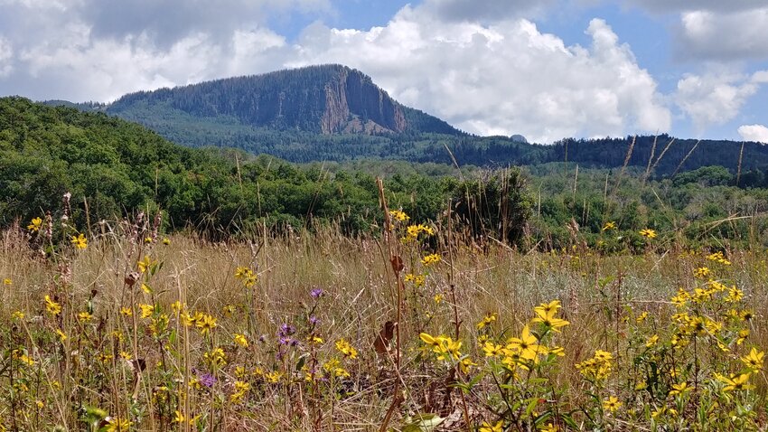 San Juan National Forest acquires V Rock private land inholding - Vimarsana News