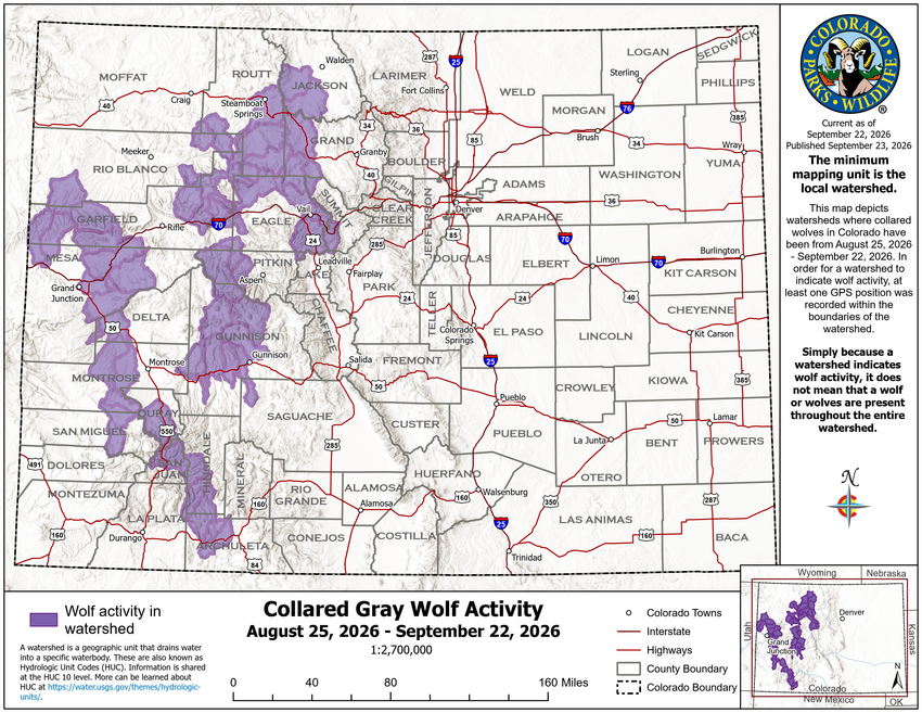 A map depicts watersheds where collared wolves in Colorado were from Aug. 25 through Sept. 22. According to John Livingston, CPW Southwest Region public information officer, Archuleta County again saw a lone wolf that &ldquo;continues to travel all over the state&rdquo; and has since moved out of the county.