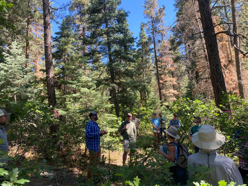 A field tour in June 2026 led by partners at the San Juan National Forest-Pagosa Ranger District describes proposed forest health treatments. The San Juan Headwaters Forest Health Partnership will host its inaugural Headwaters Happy Hour Friday, offering a time to discuss regional forest and watershed health.