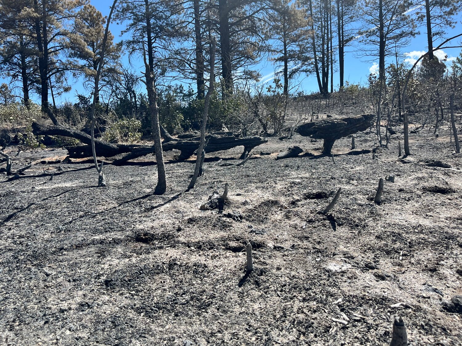 A portion of the Coal Mine Fire is pictured. The Archuleta County Sheriff&rsquo;s Office, Pagosa Fire Protection District and U.S. Forest Service tended to the fire, which is 11 acres and 100 percent contained, late last week and early this week.