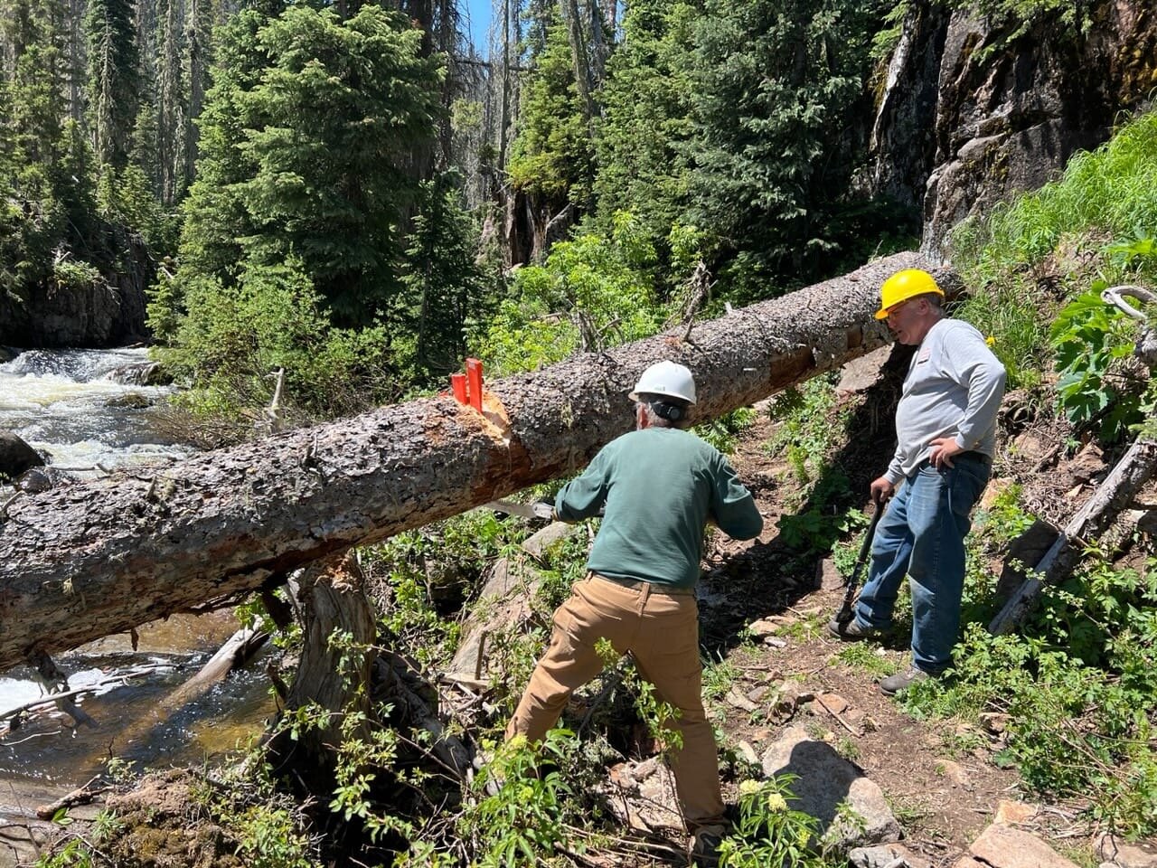 The Pagosa Ranger District of the San Juan National Forest’s trail crew, in partnership with the Pagosa Area Trails Councils, many other volunteer groups and youth trail crews, have been able to clear 95 percent to 100 percent of the district’s trails in each of the last five years.