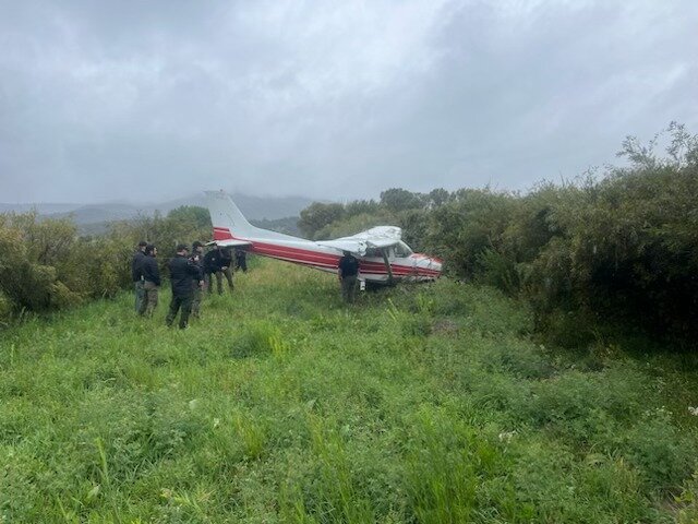 A plane rests after crash-landing around noon in the area of Colo. 151 and Forest Service Road 613.