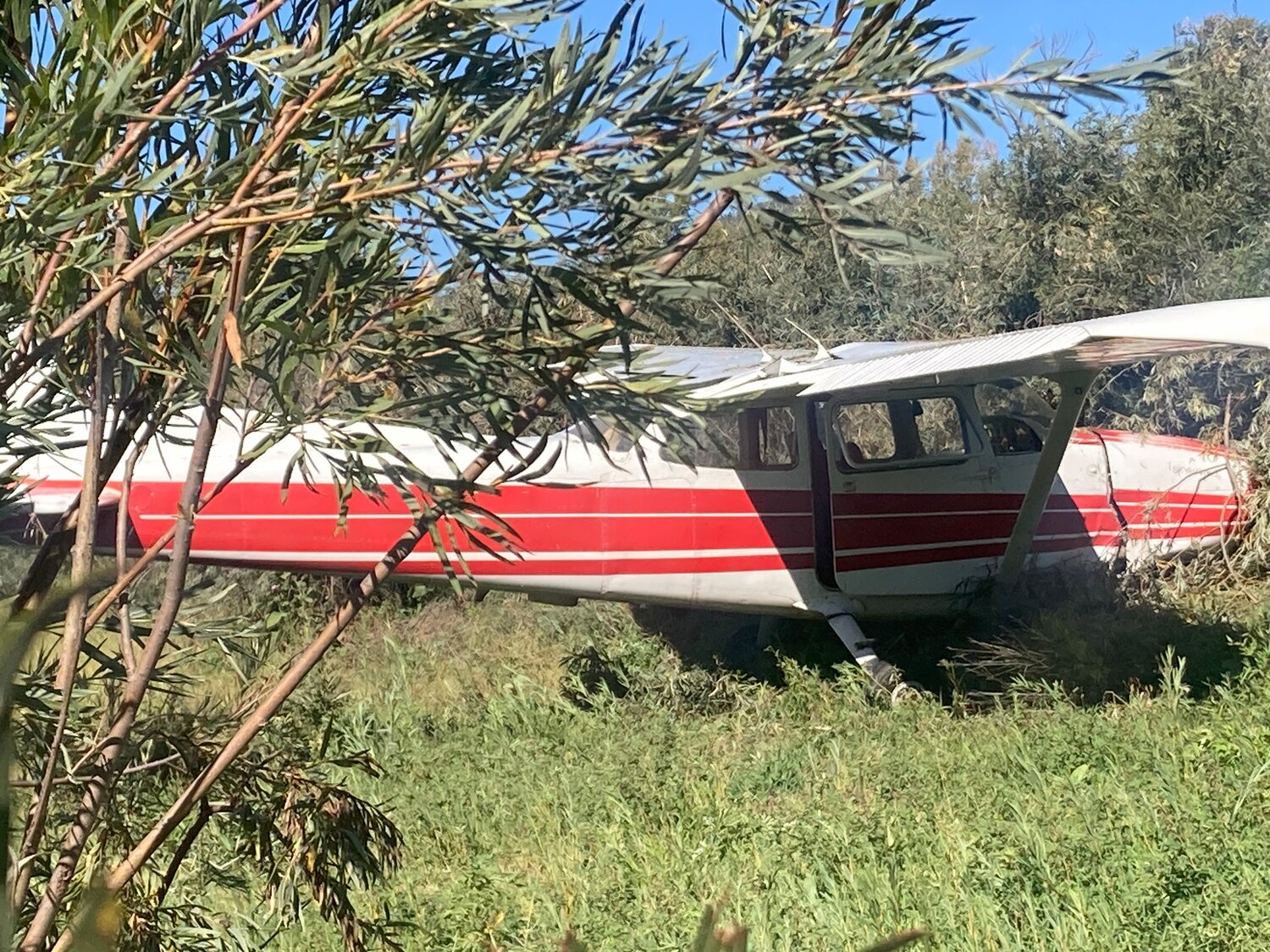 A plane rests after crash-landing around noon on Tuesday, Sept. 17, in the area of Colo. 151 and Forest Service Road 613.