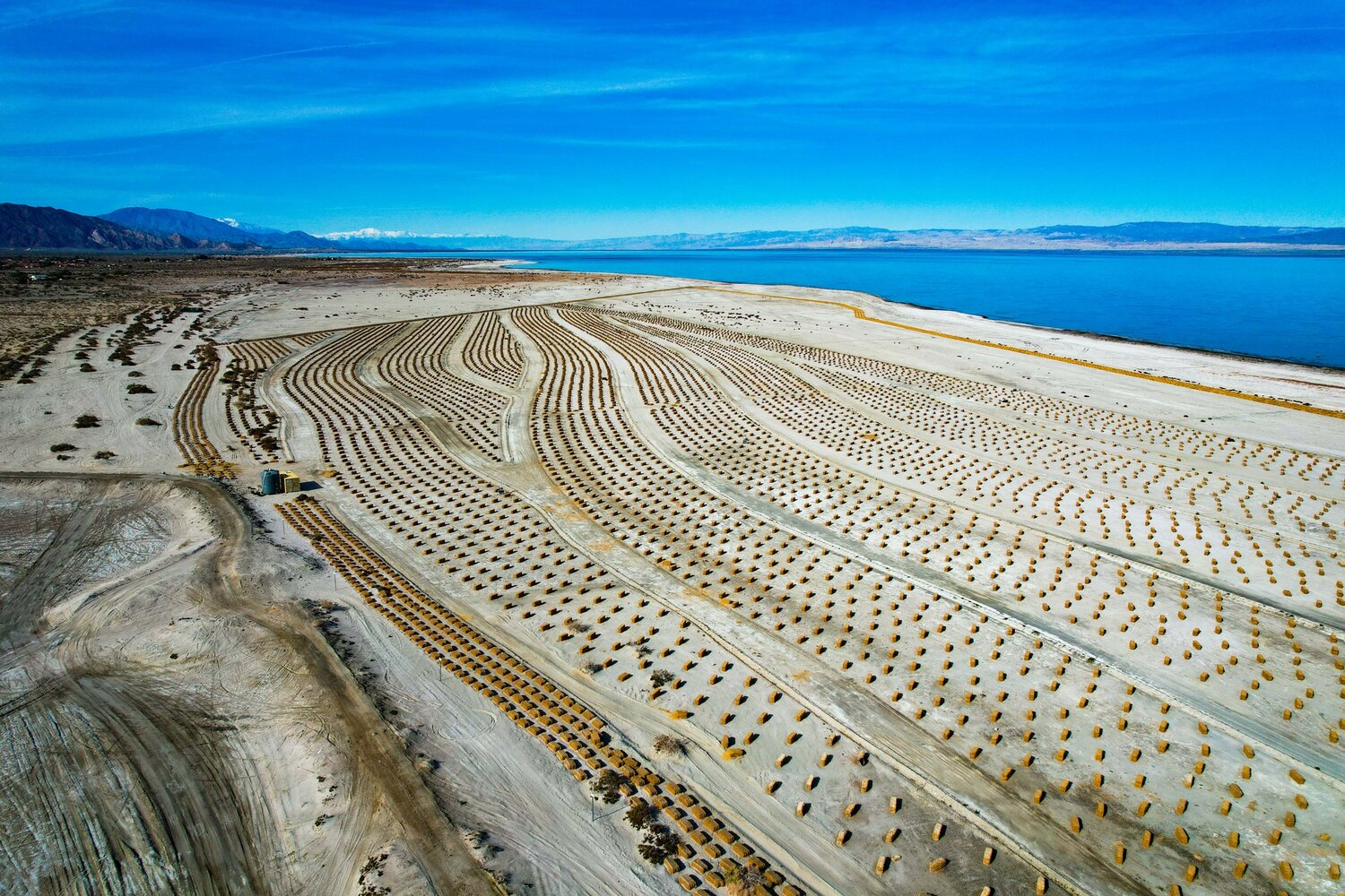 Hay bales near Bombay Beach and Salton City are a project meant to reduce dust and save bird habitat. At first glance, they look like an art project.
