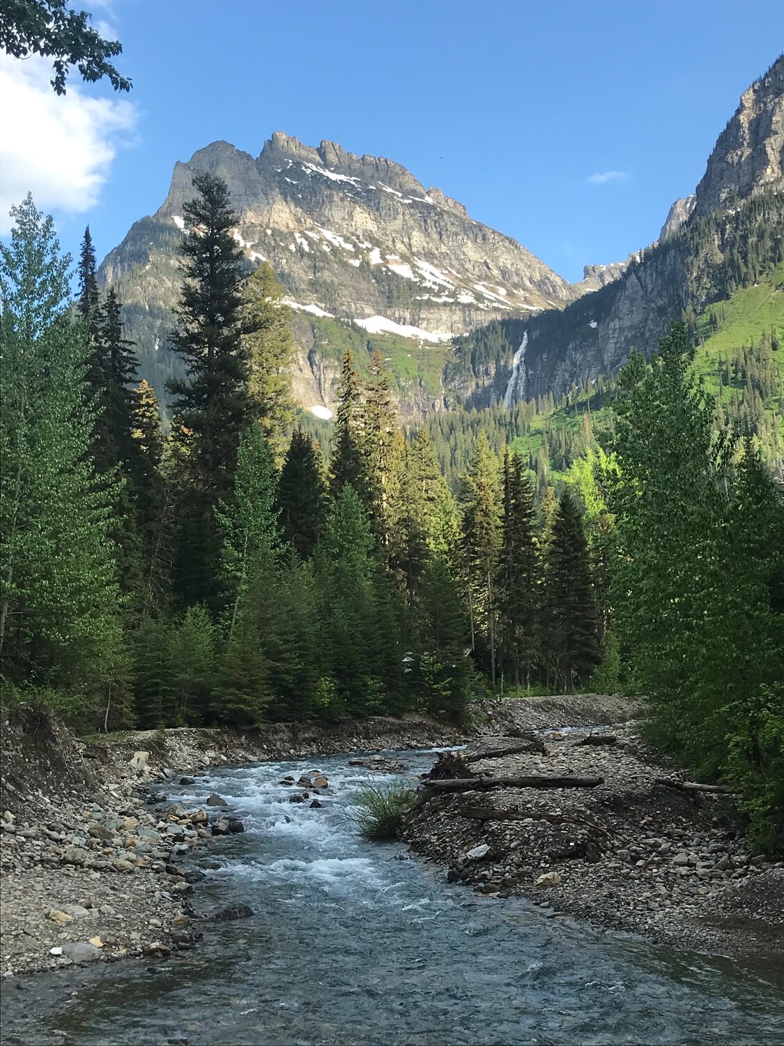 Logan Creek in Glacier National Park.