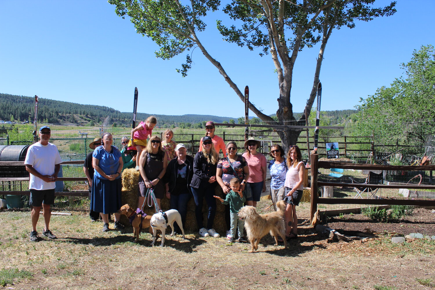 Healthy Archuleta is seeking volunteers to help with food drives, the community gardens and more.