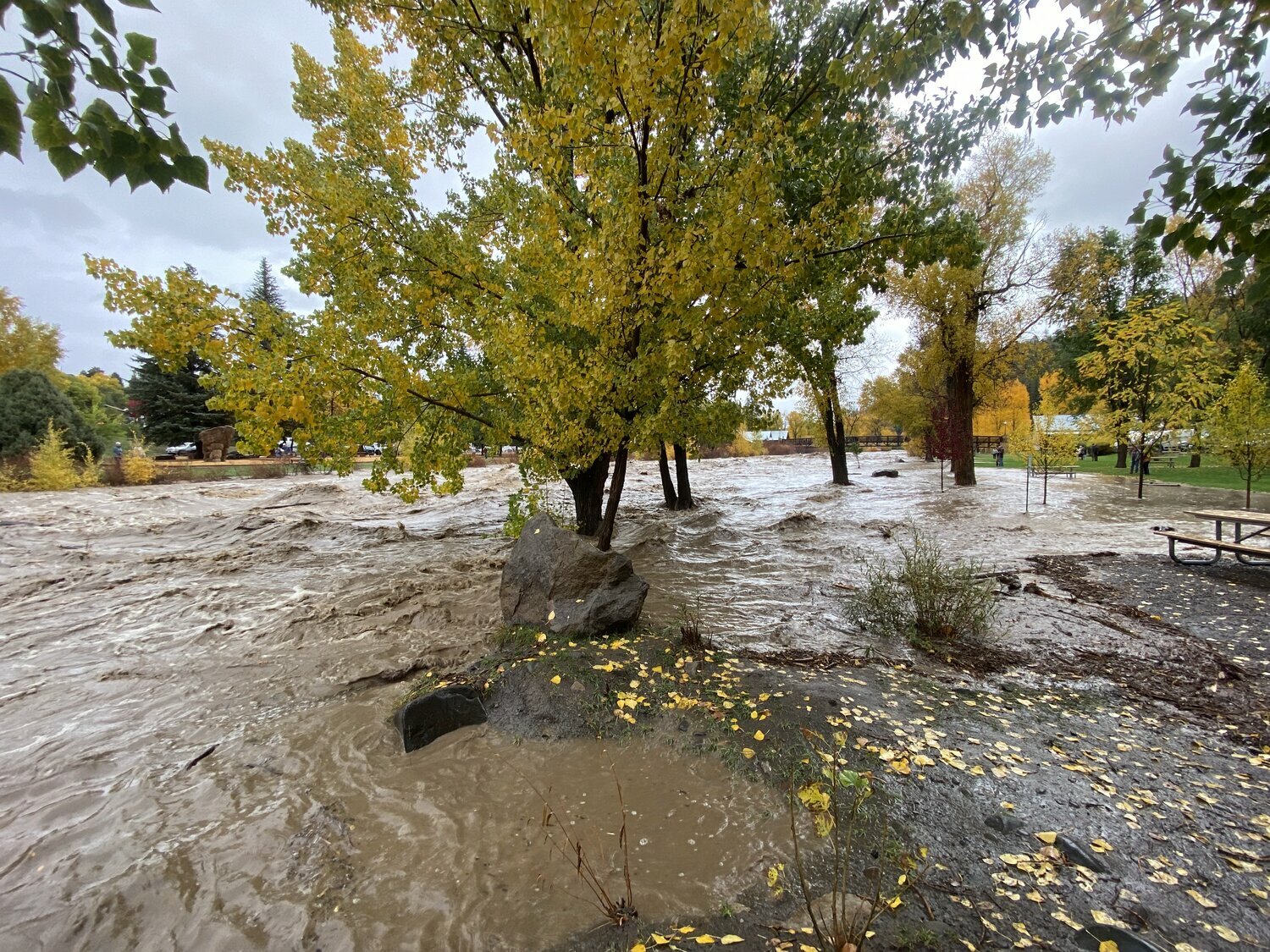 Flooding at Mary Fisher Park the afternoon of Oct. 11.
