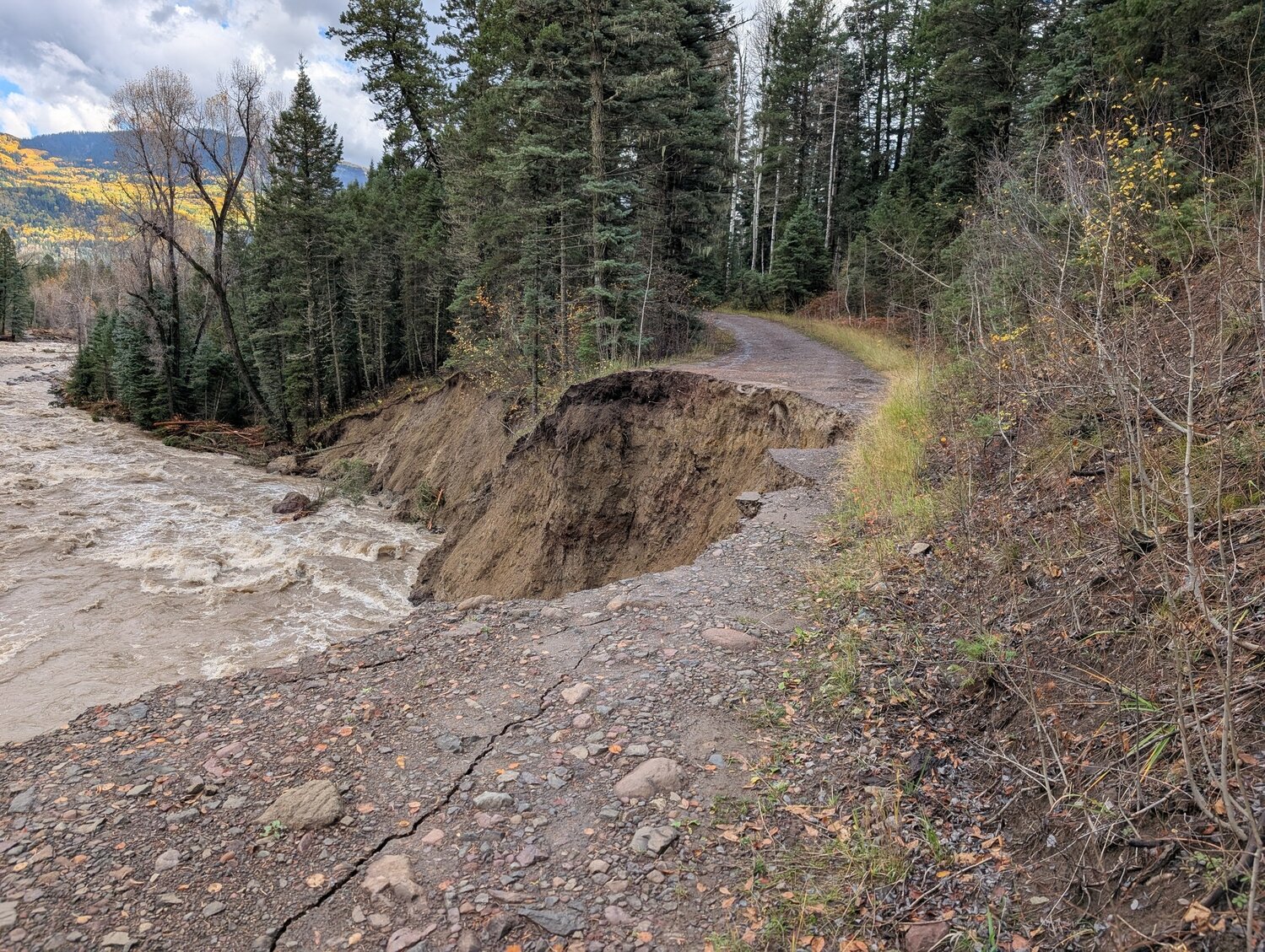 West Fork San Juan Hatcher Road 033 on the Pagosa Ranger District.
