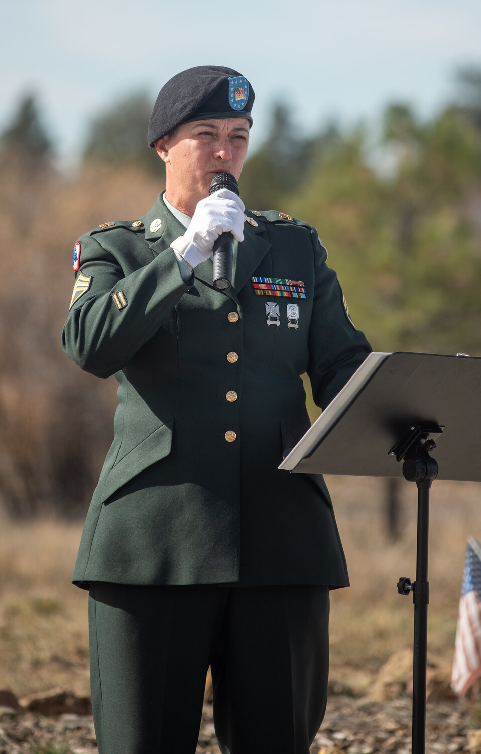 In annual tradition, members of Mullins-Nickerson American Legion Post 108 present a Veterans Day ceremony in honor of veterans on Tuesday, Nov. 11, at Veterans Memorial Park.