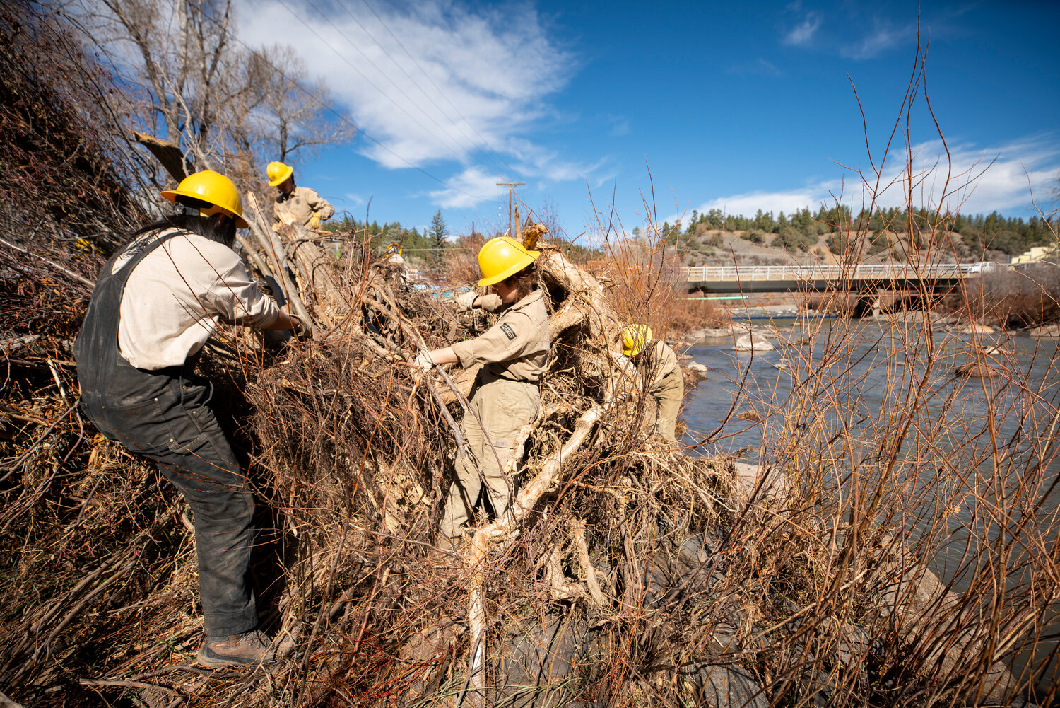 Southwest Conservation Corps crews clears flood debris. The crews cleared nearly four acres of flood debris along the San Juan River.