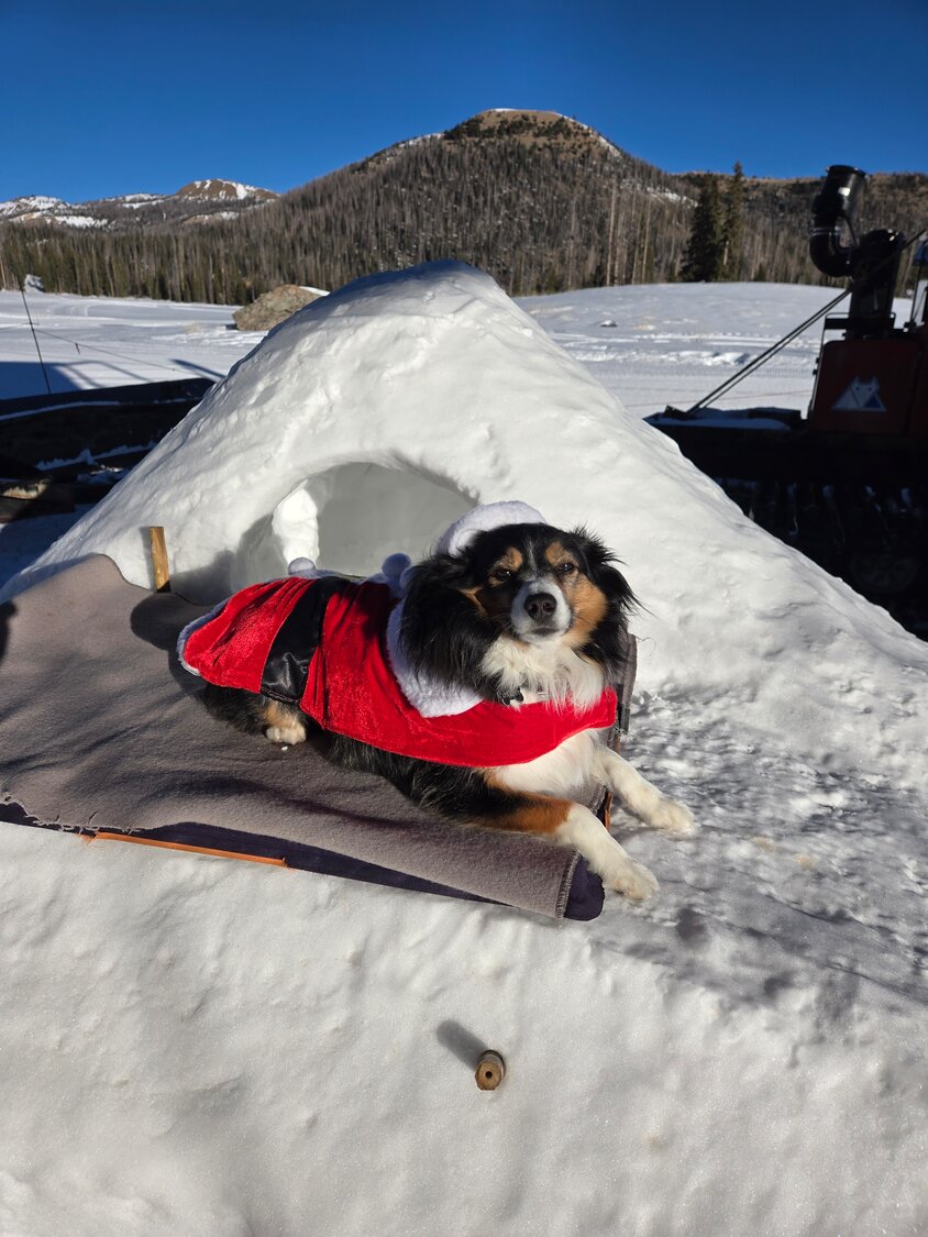 Santa emerges at Wolf Creek Ski Area on Christmas. Left: Oakley, dressed for the holiday, poses with his dogloo. Oakley and his dogloo have become a fixture at the bottom of the Elma lift over the years. Scott Bradford reports that, even with the current snow levels, Oakley has a two-story dogdominium.
