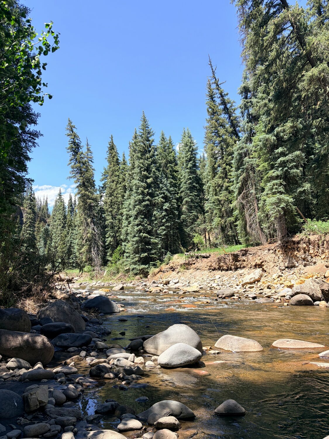 The Piedra River flows near the Piedra River Trail on Sunday, June 21.