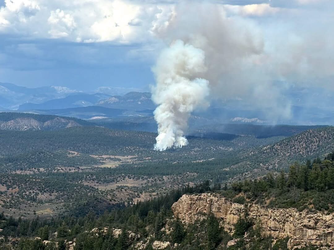 The Rio Blanco Fire south of Pagosa Springs is pictured on Tuesday, July 28. The fire started around 3 p.m. on July 28 and grew rapidly. On Wednesday, the estimated fire perimeter was 436 acres.