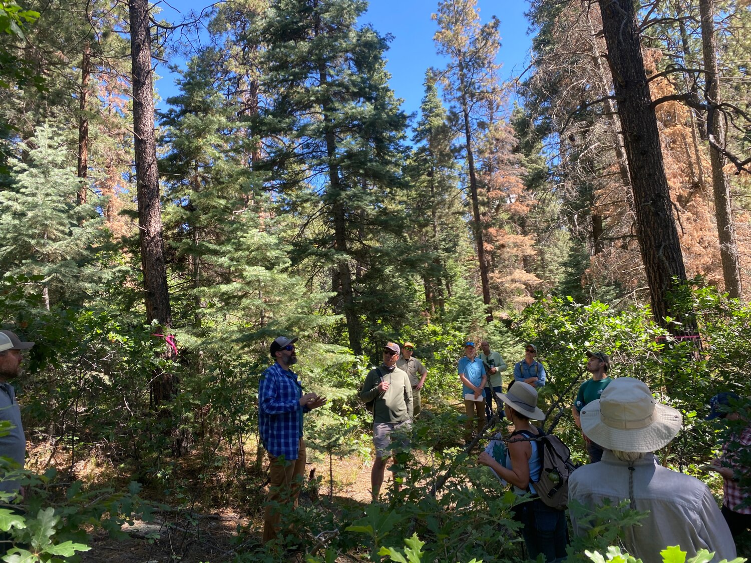 A field tour in June 2026 led by partners at the San Juan National Forest-Pagosa Ranger District describes proposed forest health treatments. The San Juan Headwaters Forest Health Partnership will host its inaugural Headwaters Happy Hour Friday, offering a time to discuss regional forest and watershed health.