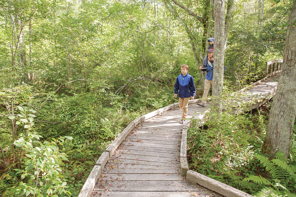 Happy Trails Your Guide to Hiking in the East Bay The Bay