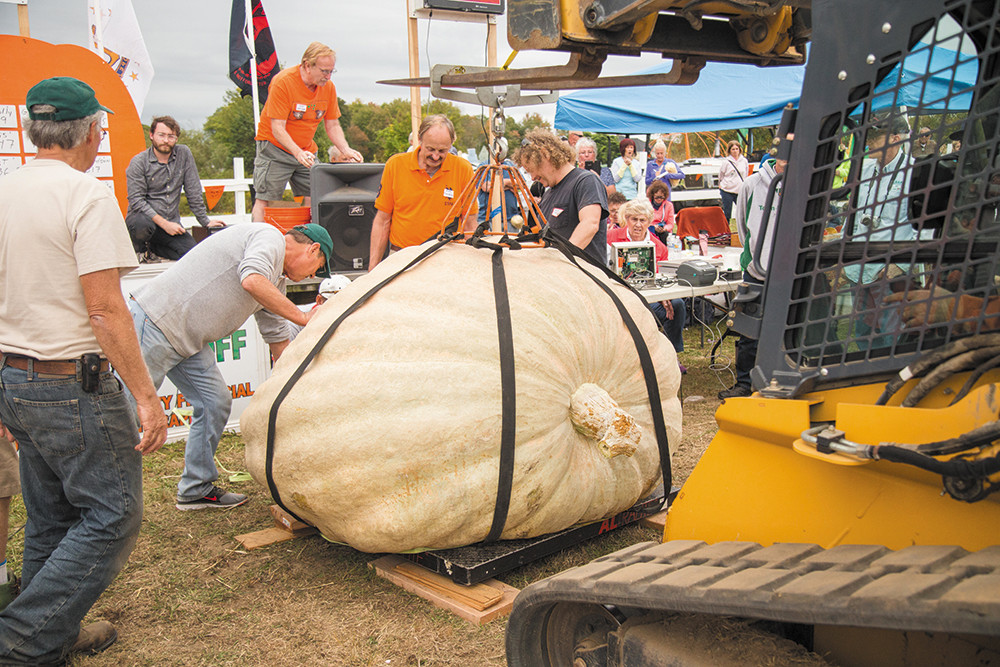 here-s-how-giant-pumpkins-get-so-big-science-news-for-students