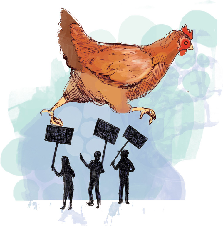 Cluck You Providence Media