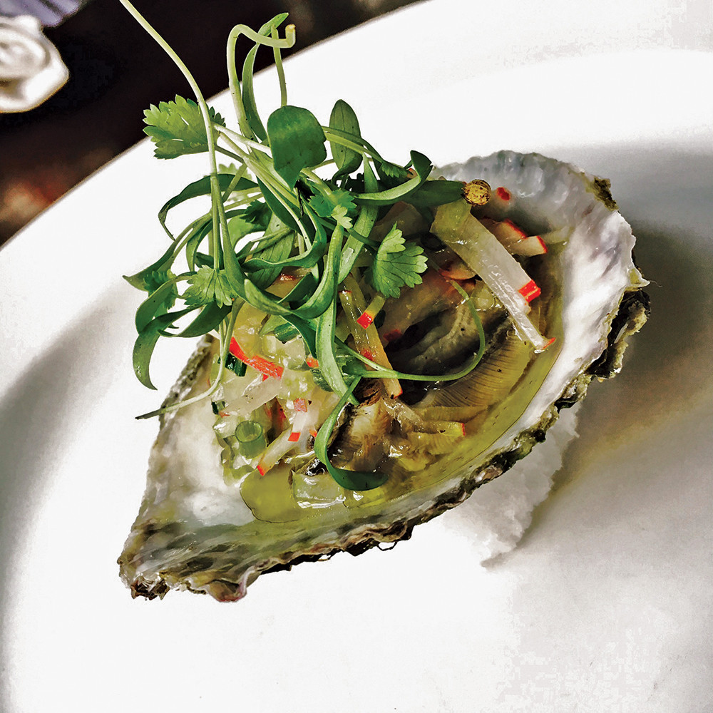 Where to Get Oysters in the East Bay Providence Media