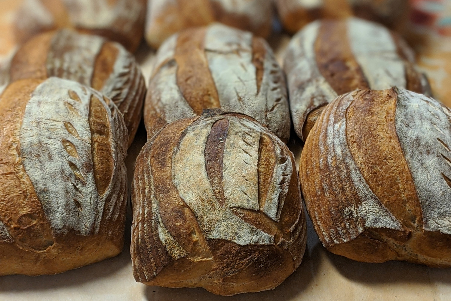 Rhody Gem: South County Bread Company | Providence Media