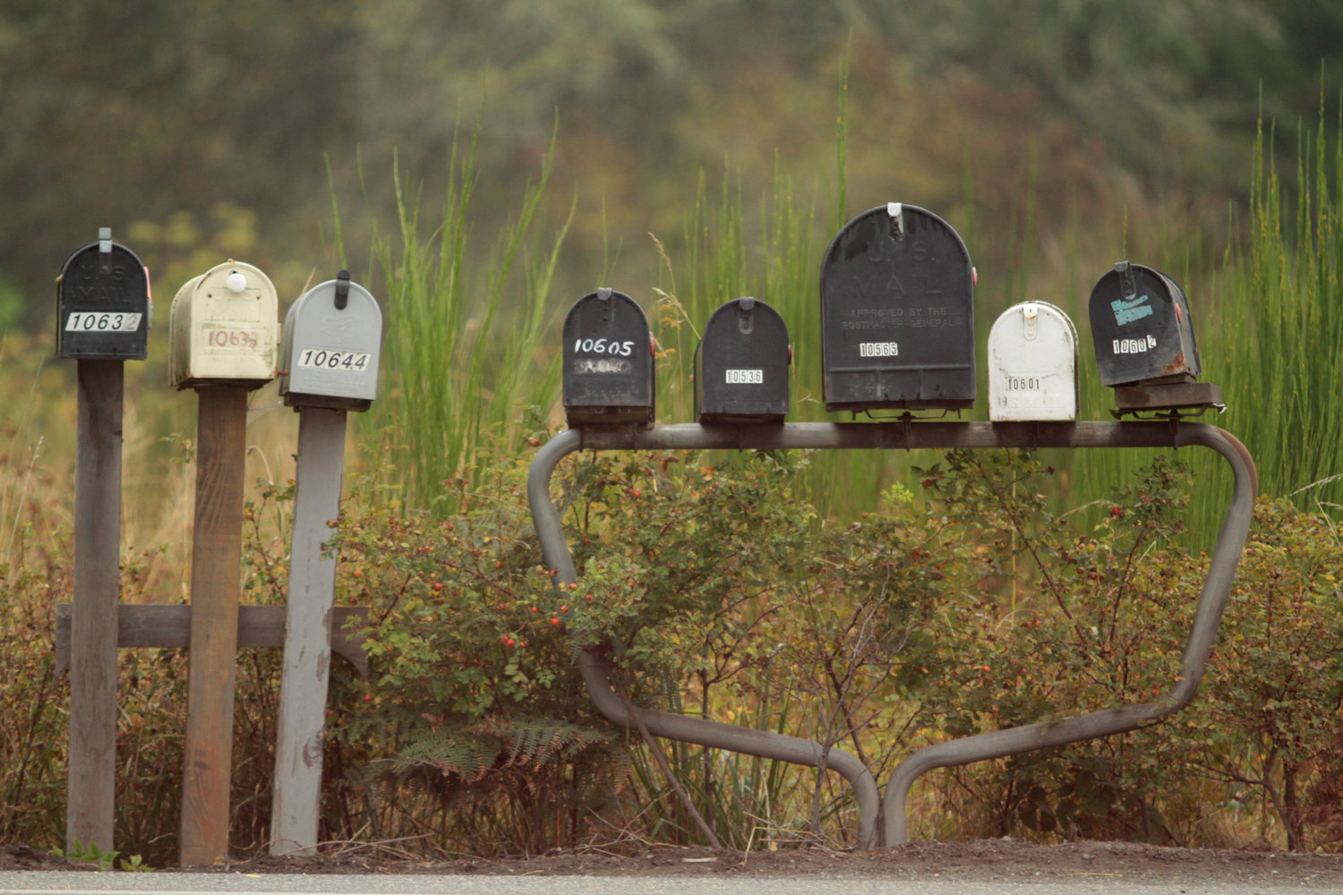 Encampments coming to your neighborhoods Letter to the editor Port