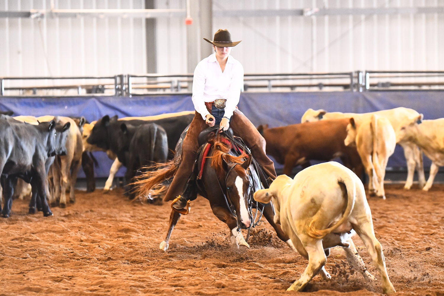 Austin County trio shines at NHSRA Finals The Sealy News