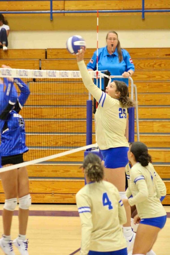 Jada Berry (25) was the Eaglettes' sole District 9-AAA All-Tournament selection last season, totaling 100 kills and 90 blocks during her freshman year.