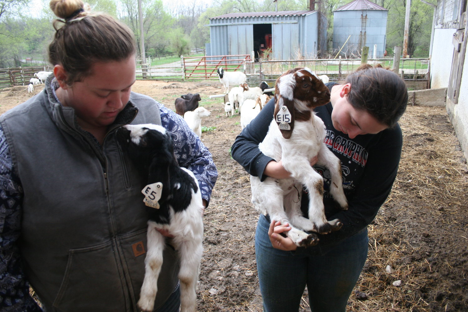 Goat program gives university students hands-on experience | Star-Journal