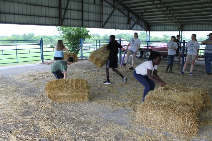 Mallory Hall, Luke Myers, Charles Mu and Rebecca “Angel” Mukisa, the winning team from the Royal Clovers 4-H Club, demonstrate how to stack straw bales.