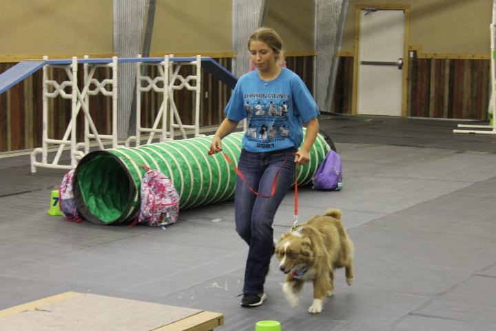 Brook Fleming of the Mineral Creek 4-H Club takes her dog, Charli, through the agility course.