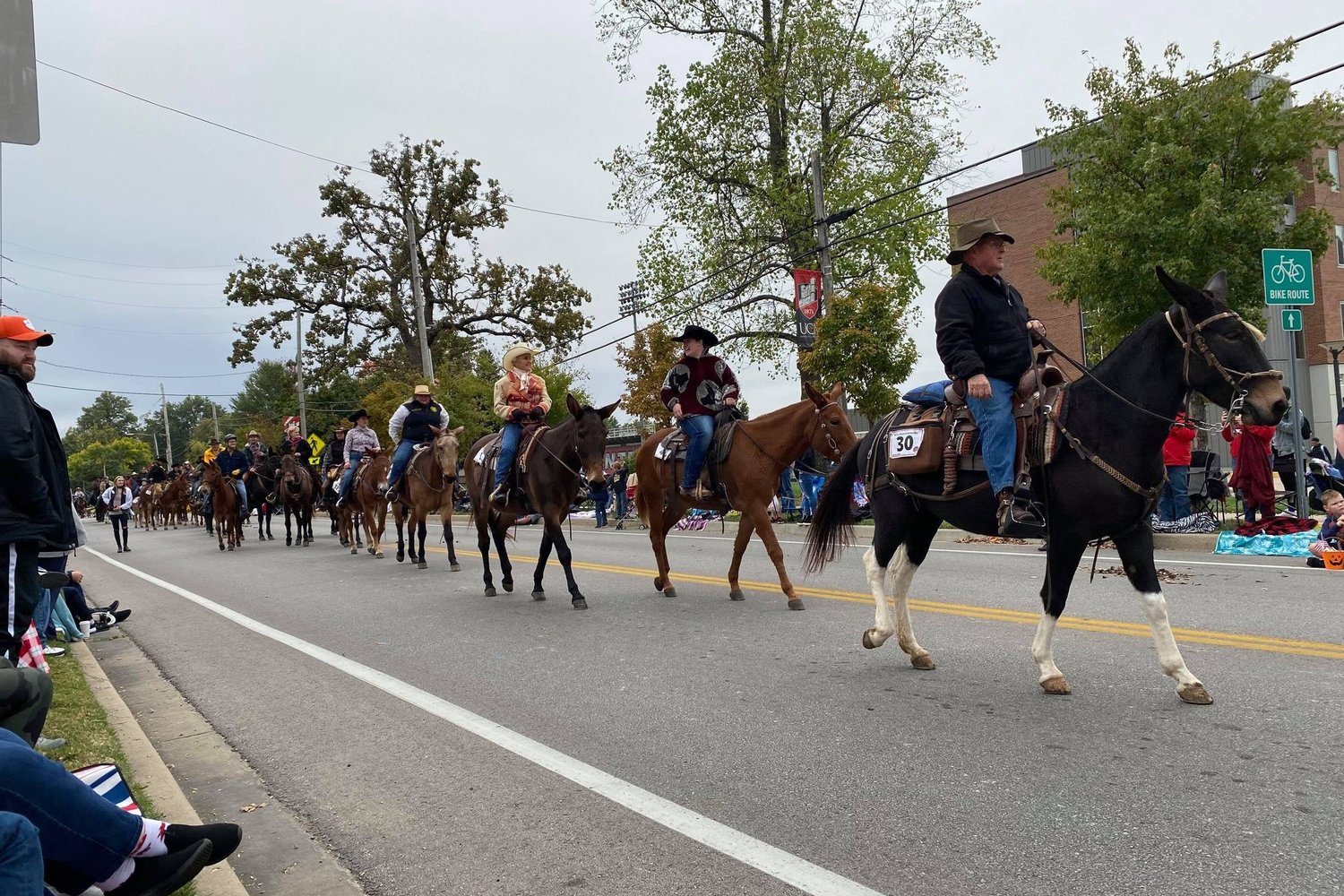 Mules and riders travel the path of the University of Central Missouri Homecoming parade Oct. 23.