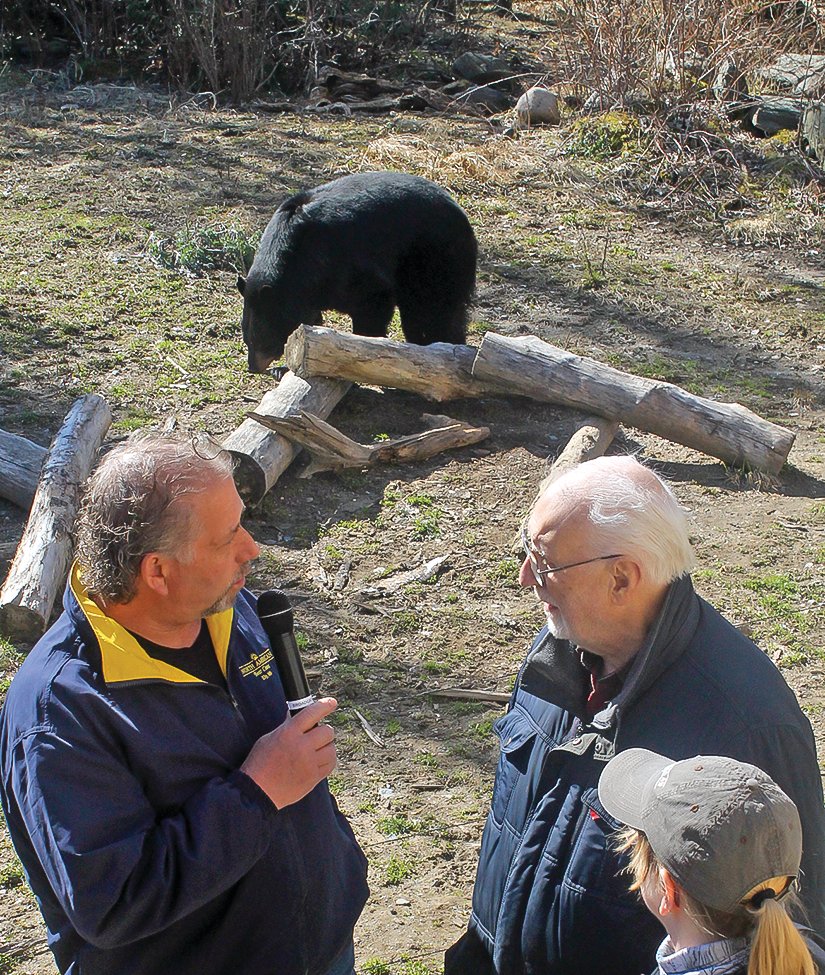 Ely's Bear Center reopens for the season - Vimarsana News