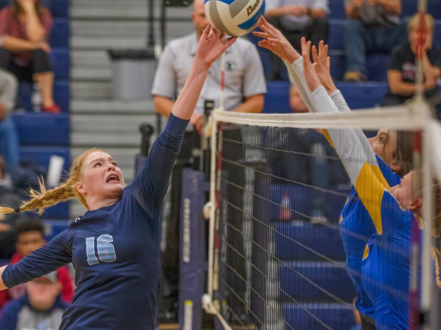 Grizzlies take down Deer River in four sets - Vimarsana News