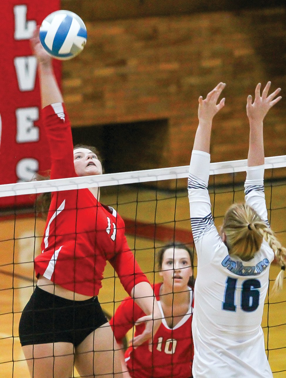 Ely dumps Grizzlies in three sets - Vimarsana News
