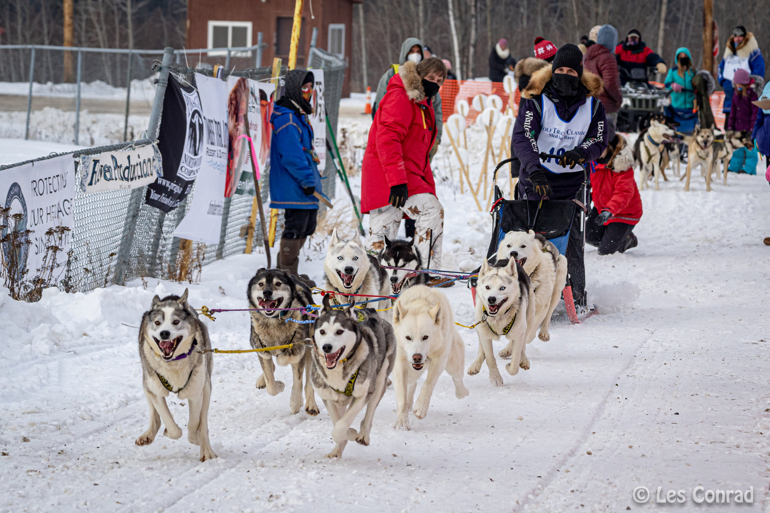 Fundraisers slated to benefit Ely WolfTrack race - Vimarsana News